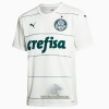 Officiële Voetbalshirt Palmeiras Uit 2022-23 - Heren